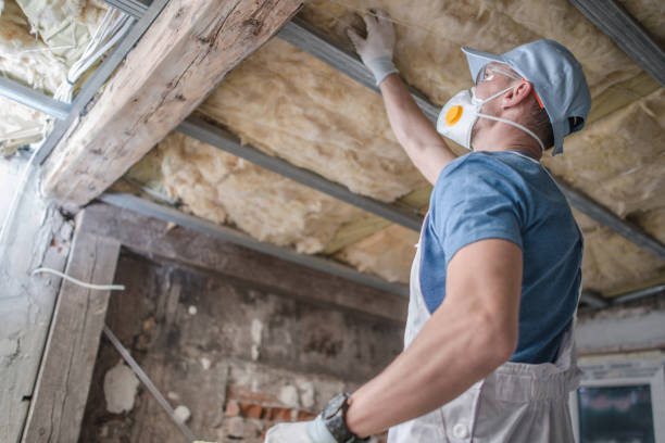 Best Insulation Installation Services in Croydon, PA